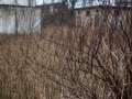 Wasserturm_Suedstadt_Ettlingerstrasse 18.jpg