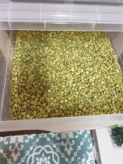 il Vesuvio - italienische Feinkost am Werderplatz