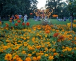 lichterfest_karlsruhe_stadtgarten_zoo_201377-jpg