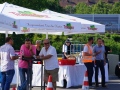 Wasserwerk_Oberwald_Bruecke_Suedstadt05492