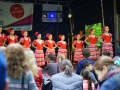 2_suedstadtfest2015 1.jpg