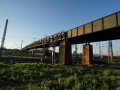 Wasserwerkbruecke_Suedstadt_Karlsruhe02626