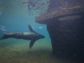 tierwelten_Zoo_1_1_2017--109