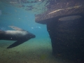 tierwelten_Zoo_1_1_2017--110