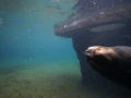 tierwelten_Zoo_1_1_2017--111