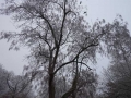 tierwelten_Zoo_1_1_2017--124