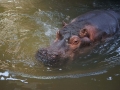 tierwelten_Zoo_1_1_2017--126