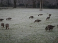 tierwelten_Zoo_1_1_2017--128