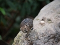 tierwelten_Zoo_1_1_2017--2