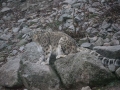tierwelten_Zoo_1_1_2017--25