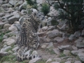 tierwelten_Zoo_1_1_2017--27
