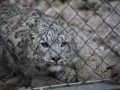 tierwelten_Zoo_1_1_2017--29