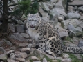 tierwelten_Zoo_1_1_2017--30