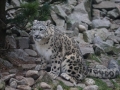 tierwelten_Zoo_1_1_2017--31