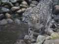 tierwelten_Zoo_1_1_2017--33