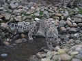 tierwelten_Zoo_1_1_2017--35