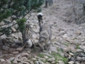 tierwelten_Zoo_1_1_2017--36
