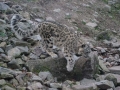 tierwelten_Zoo_1_1_2017--38