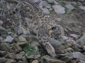 tierwelten_Zoo_1_1_2017--39