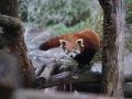 tierwelten_Zoo_1_1_2017--44