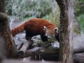 tierwelten_Zoo_1_1_2017--46