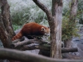 tierwelten_Zoo_1_1_2017--48