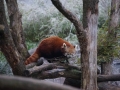 tierwelten_Zoo_1_1_2017--49