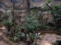 tierwelten_Zoo_1_1_2017--5