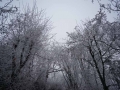 tierwelten_Zoo_1_1_2017--95