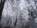 tierwelten_Zoo_1_1_2017--96