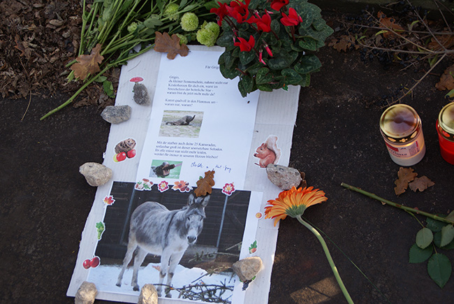 Blumen, Kerzen und ein Brief für die Verstorbenen.