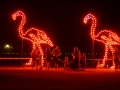 Zoolichtspiele_Karlsruhe02762